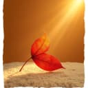 Have you search for me