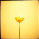 Vânia, Você é Incrível