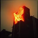 ! Echt jetzt?vergiss es einfach 