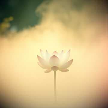 Sutra de Lótus: Os Dez Aspectos da Realidade