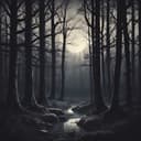 Echoes of My Insanity