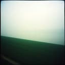 The Quite Between Sighs