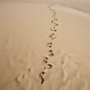 Thank You, Family Crew