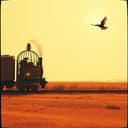 "Somewhere Better To Be"