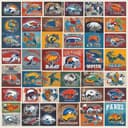 Buffalo's Crown Rise