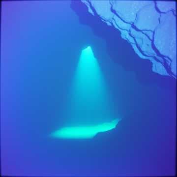 Echoes in the Abyss