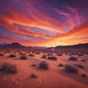 ذاكرة الضياع