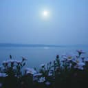 Диана моя любимая