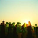 Güllekeule Tagebuch