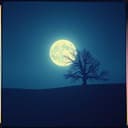 Tu luz después de la sombra 