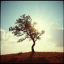 No se si estoy haciendo bien