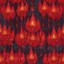 Dama dam mast Qalandar 