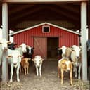 VdK KV Waiblingen Song