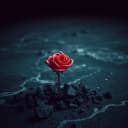 Rising from Ashes and Roses