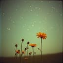 Deus continua a falar