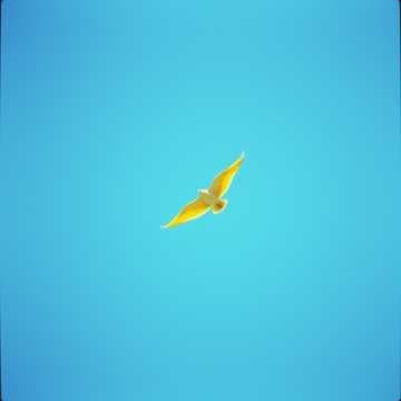 Libertad