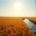 Гімн України