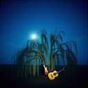 Whispers in the Wind