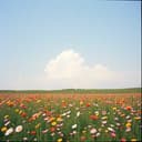 Белият Облак Неротовител‎