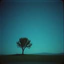 أغنية موسى أبو الحمص