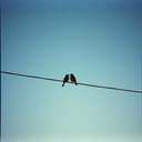 Amizade em Dois Tons