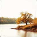 Птица в Небе