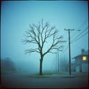 마지막 바람 (Last Wind)