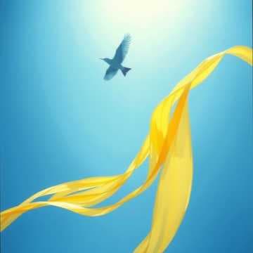 Blue bird