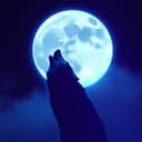 Shadow Fang: The Wolf in Human skin
