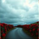 Ephemeral Lonesomeness