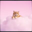 i need u whiskers, my raspberry cat boy