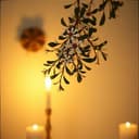 Under the Mistletoe Glow