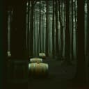 Beyond the Smuggler's Veil