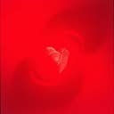 Fecha caducidad remix 2.3