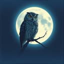 حديث النجوم