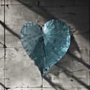 Holding on to nothing