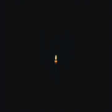 Alone in the world 