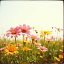 Maman est trop belle