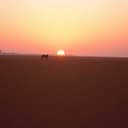 “If You’re Happy” (A Love Song to My Ex-Fiancé)