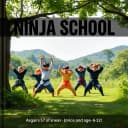 Ninja Flow