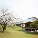 Droga Karate – Sztuka Walki