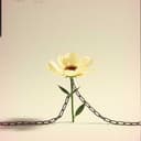 La libertad de Decir No. Autor: A. A. Mc. V.