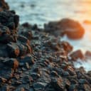 Endless Summer Nights