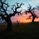 Jordan the Super Seafood Seller