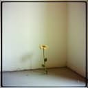 En un rincón de mi alma