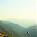 Quiero ver a venezuela triunfando