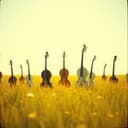 Rise Above the Storm