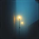 The Path He Wandered