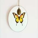 More than what they see