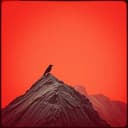 Shadows on the Horizon